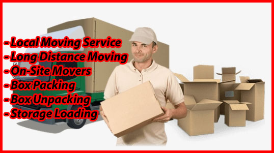 Packers And Movers Noida Sector 31